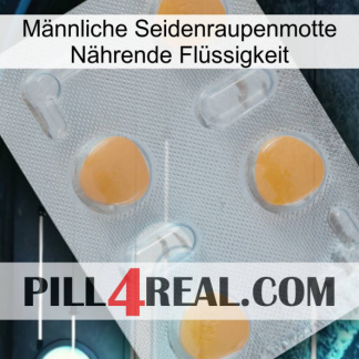 Männliche Seidenraupenmotte Nährende Flüssigkeit 24